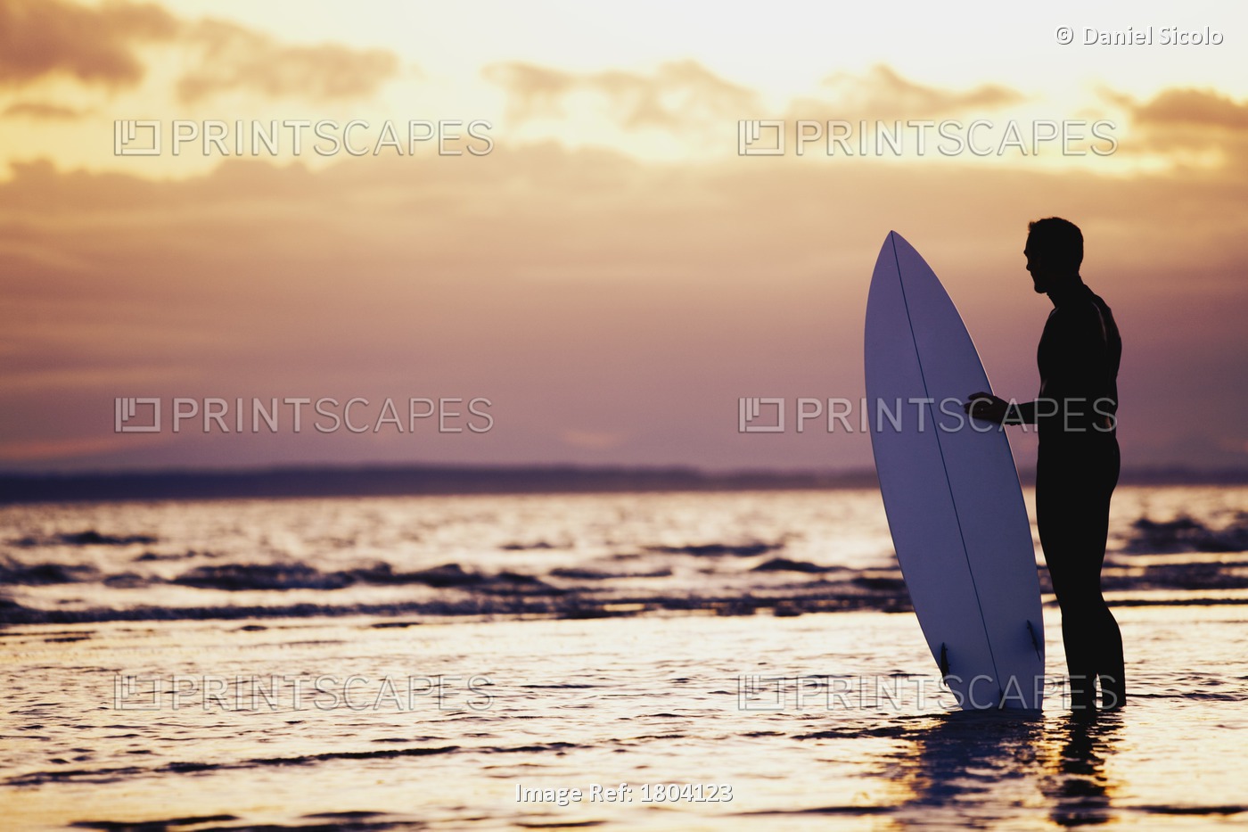 Surfer Silhouette