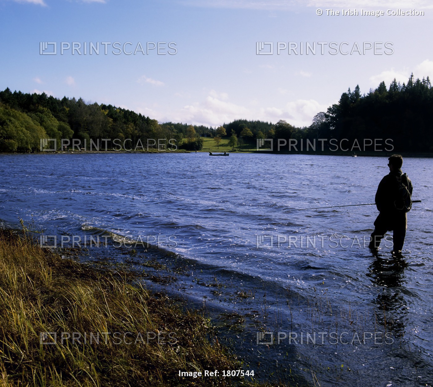 Killykeen Forest Park, Co Cavan, Ireland; Man Fishing In Lough Oughter