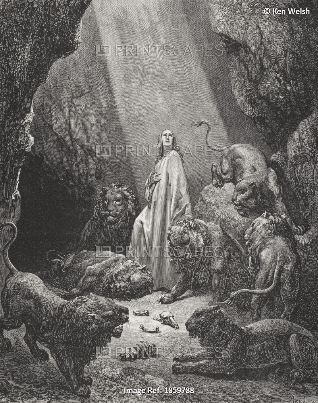 Engraving From The Dore Bible Illustrating Daniel Vi 16 And 17 Daniel In The ...