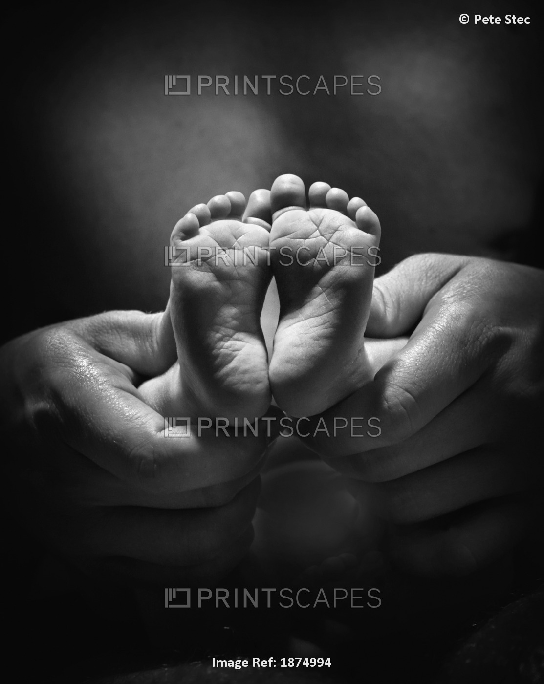 Adult Hands Holding Bare Baby Feet