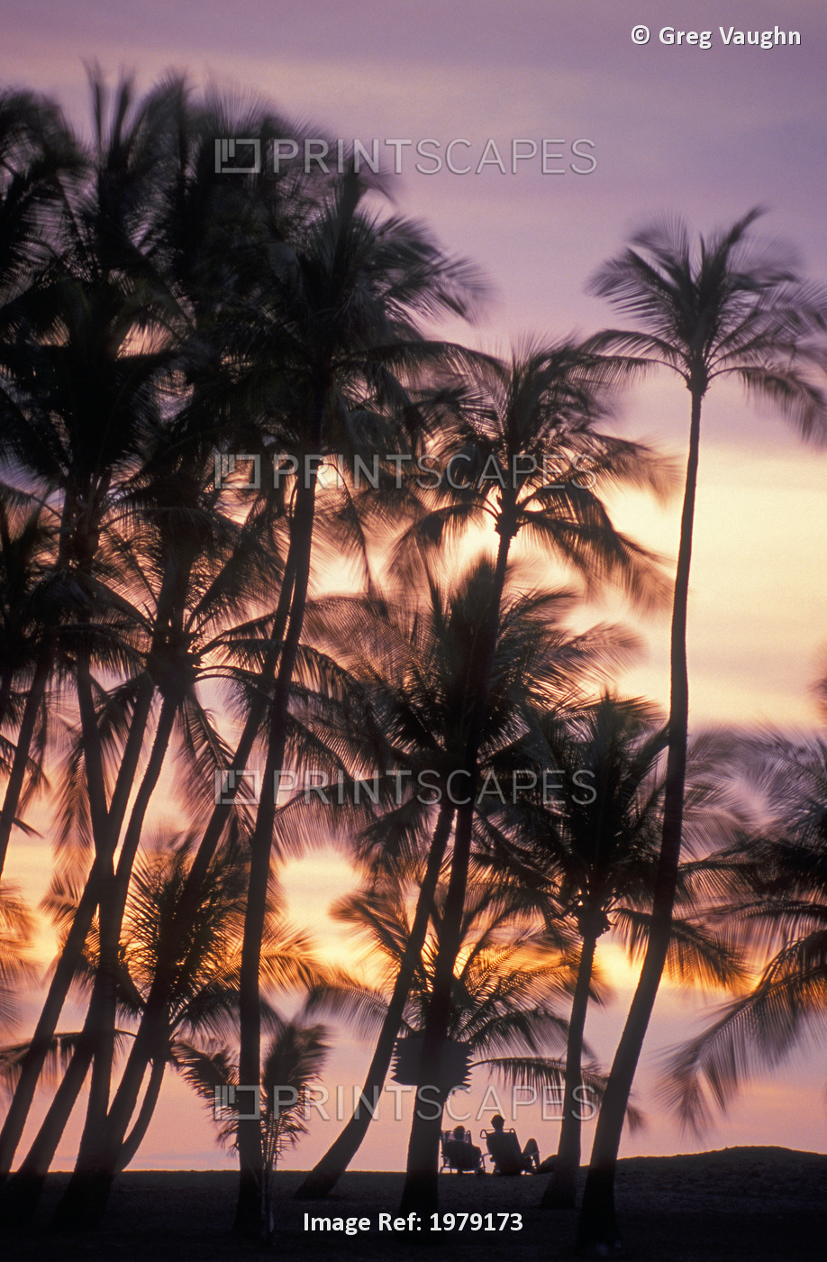 Palm Trees And A Couple In Beach Chairs At Sunset At Anaehoomalu Bay, Waikoloa ...