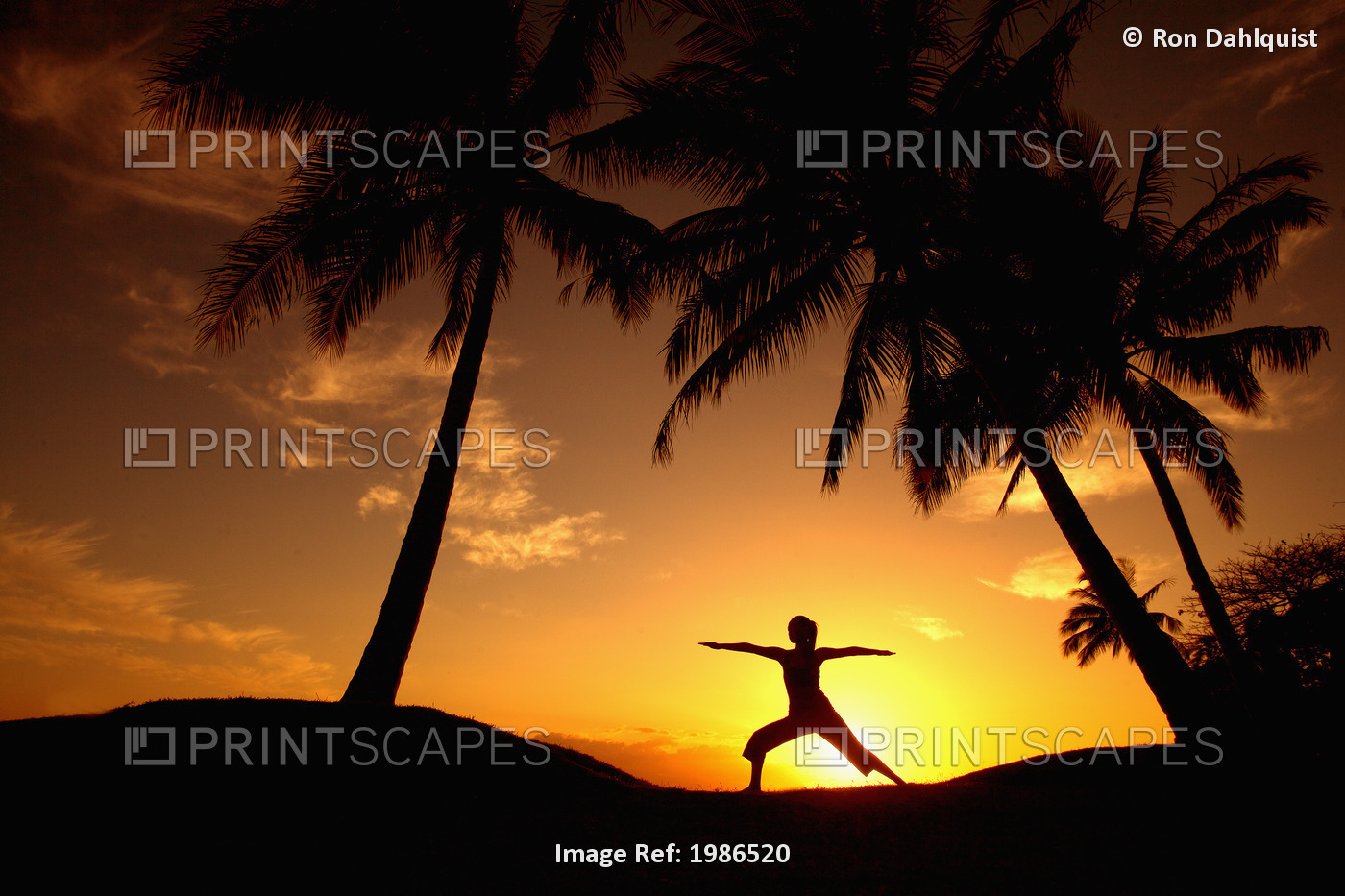 Hawaii, Maui, Olowalu, Woman Doing Yoga At Sunset Under Palm Tree.