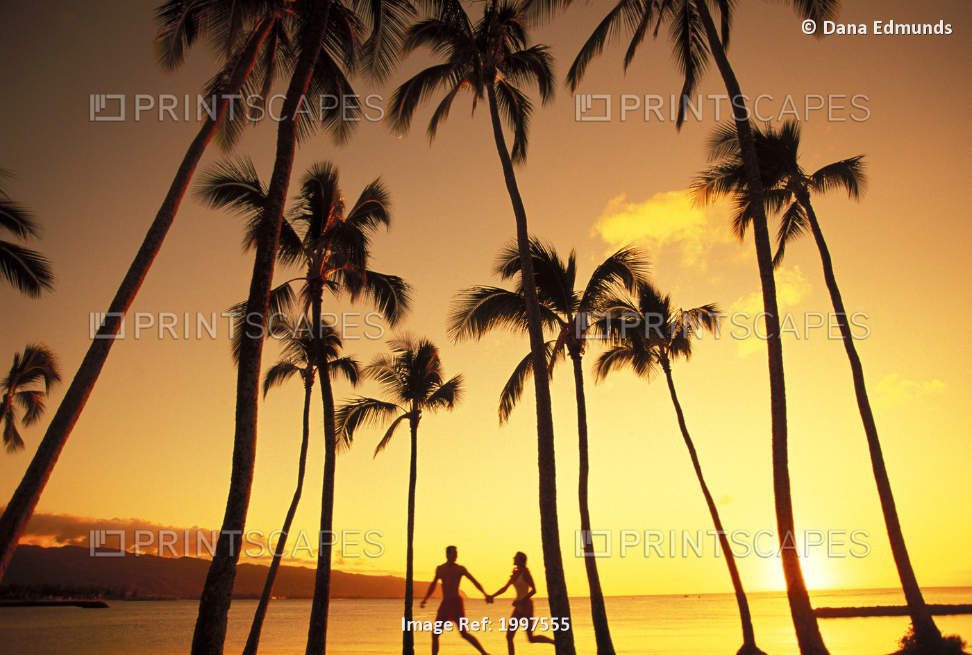 View Of Couple In Park By Beach Palm Trees, Golden Sunset.