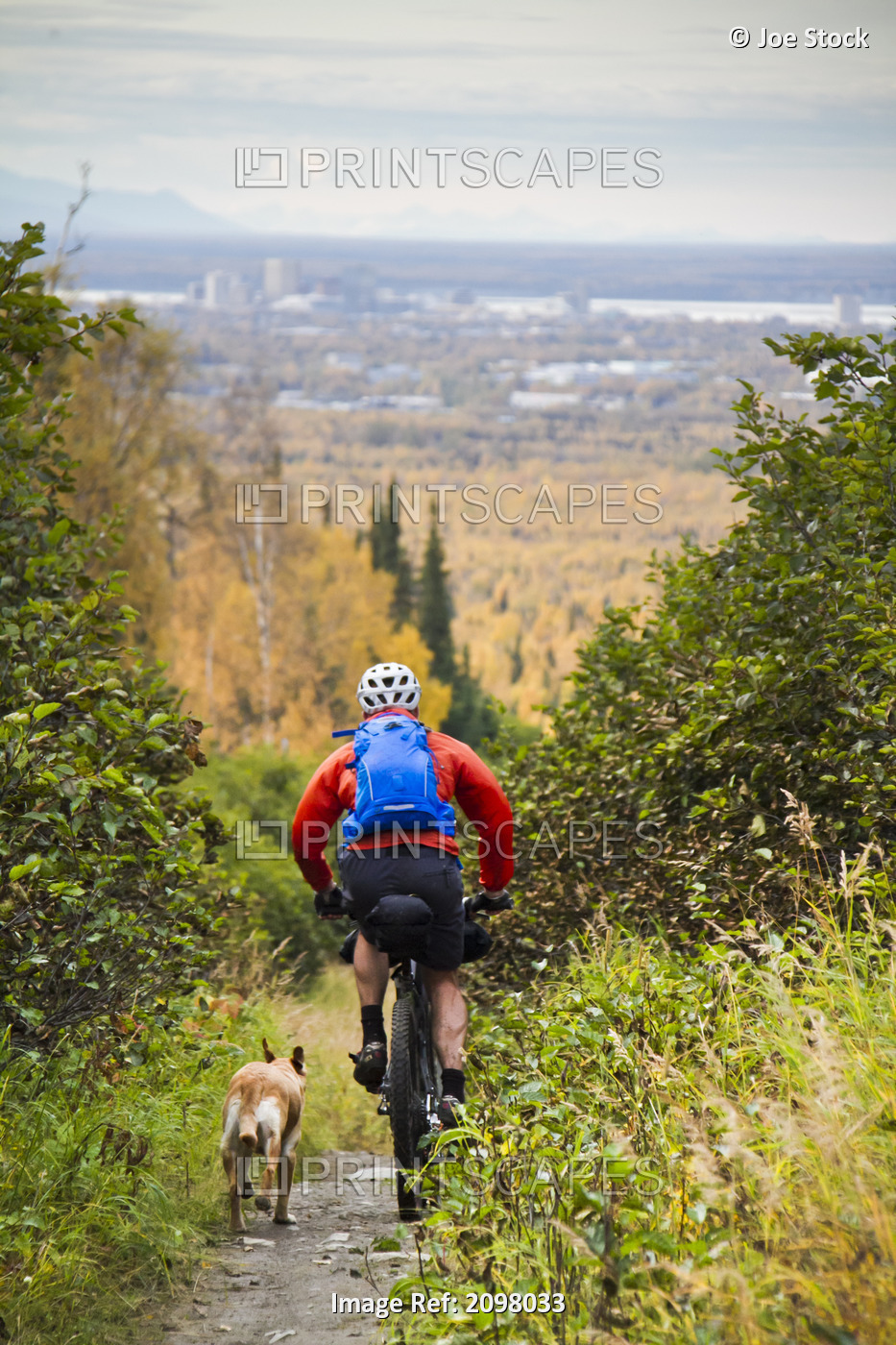 Man Mountain Biking With Dog Running Beside Him, Anchorage Hillside Trails, ...