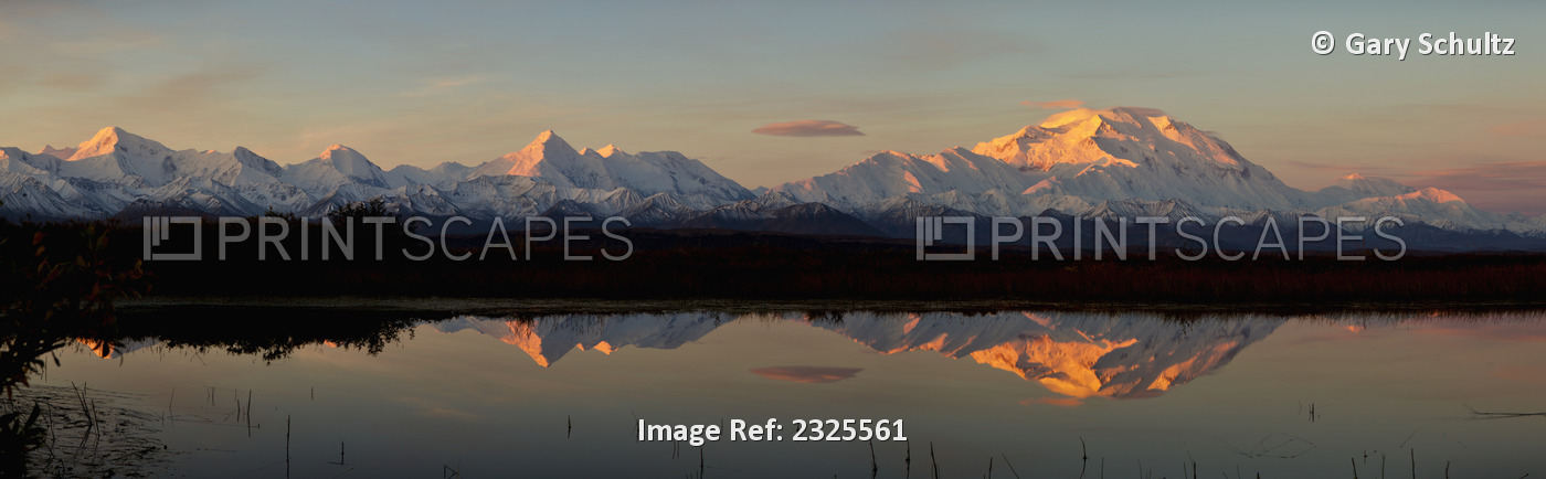 Alpenglow On Mt. Mckinley, Also Known As Denali, Reflected In Tundra Pond At ...