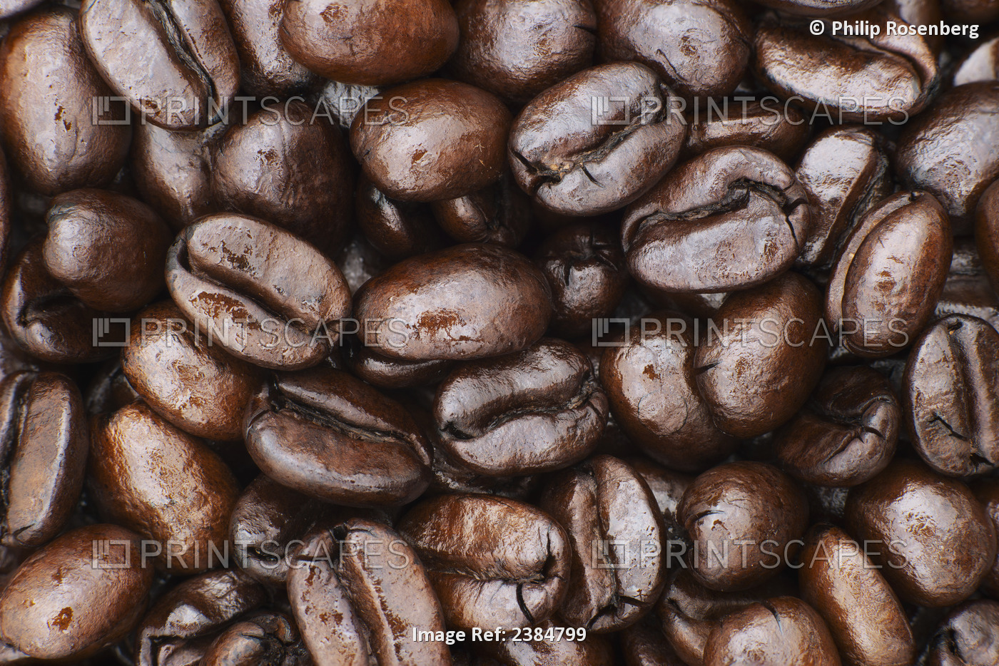 Medium Dark Roast Kona Coffee Beans Close Up; Holualoa, Big Island, Hawaii, ...