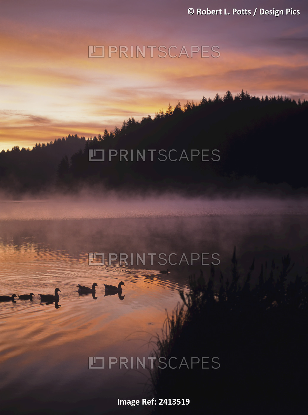 Eel Lake Reflects The Dawn Sky; Winchester Bay, Oregon, United States Of America