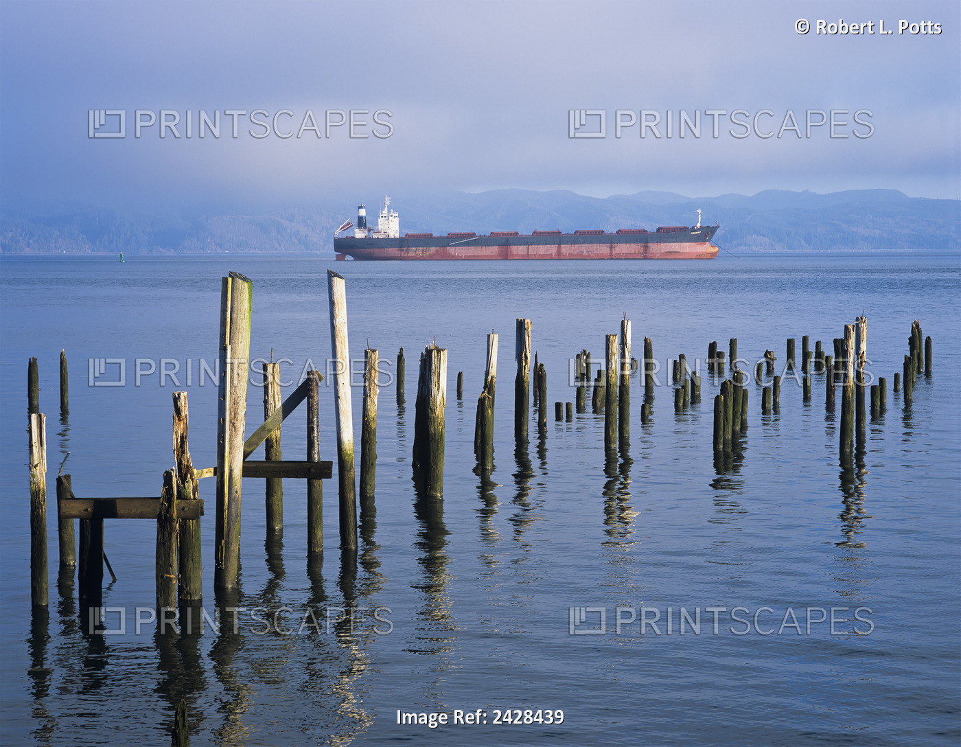 A Ship Anchors Near Astoria With Pilings In The Water; Oregon, United States Of ...