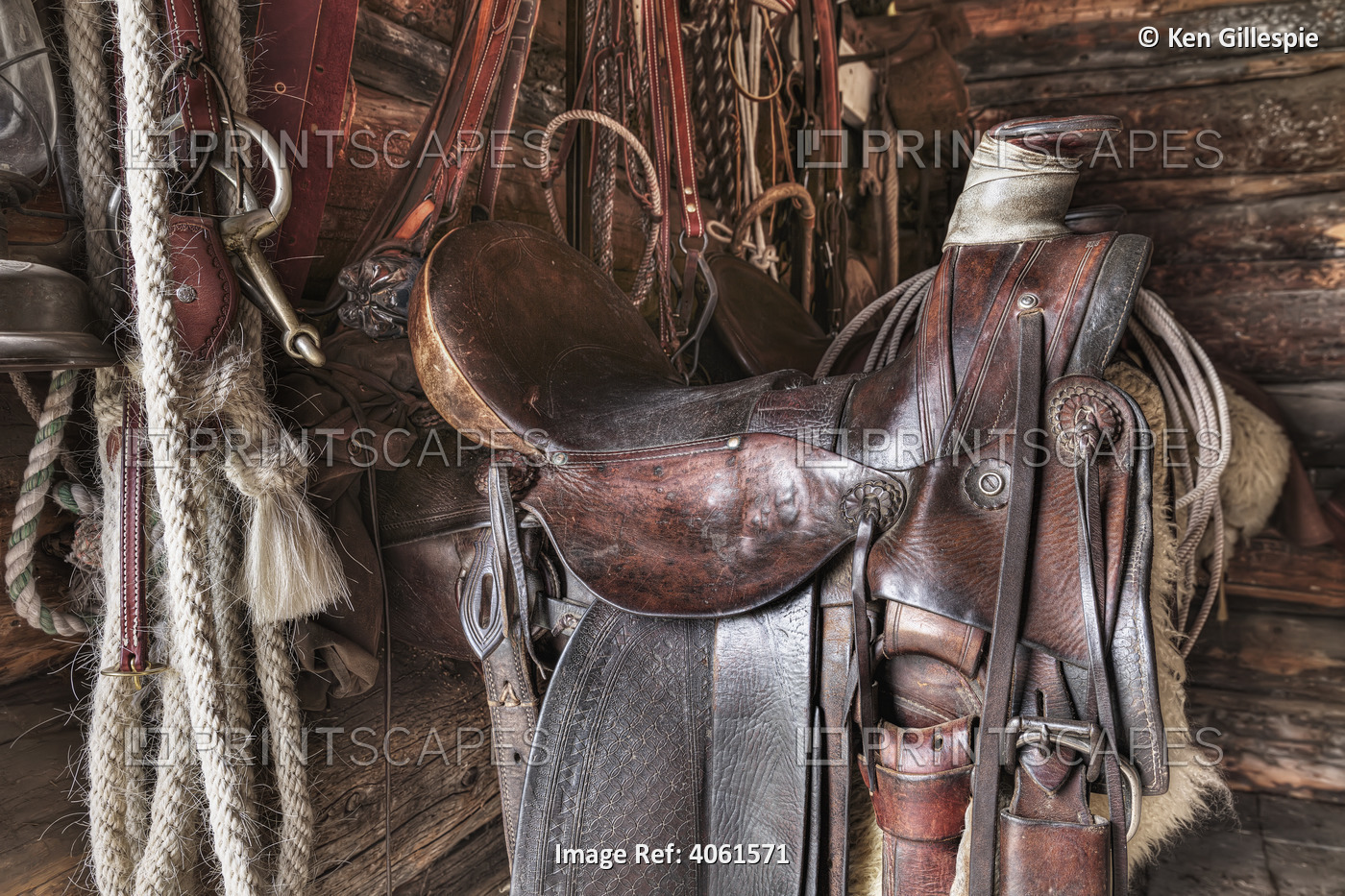 Saddle And Horseback Riding Equipment At Bar U Ranch National Historic Site; ...