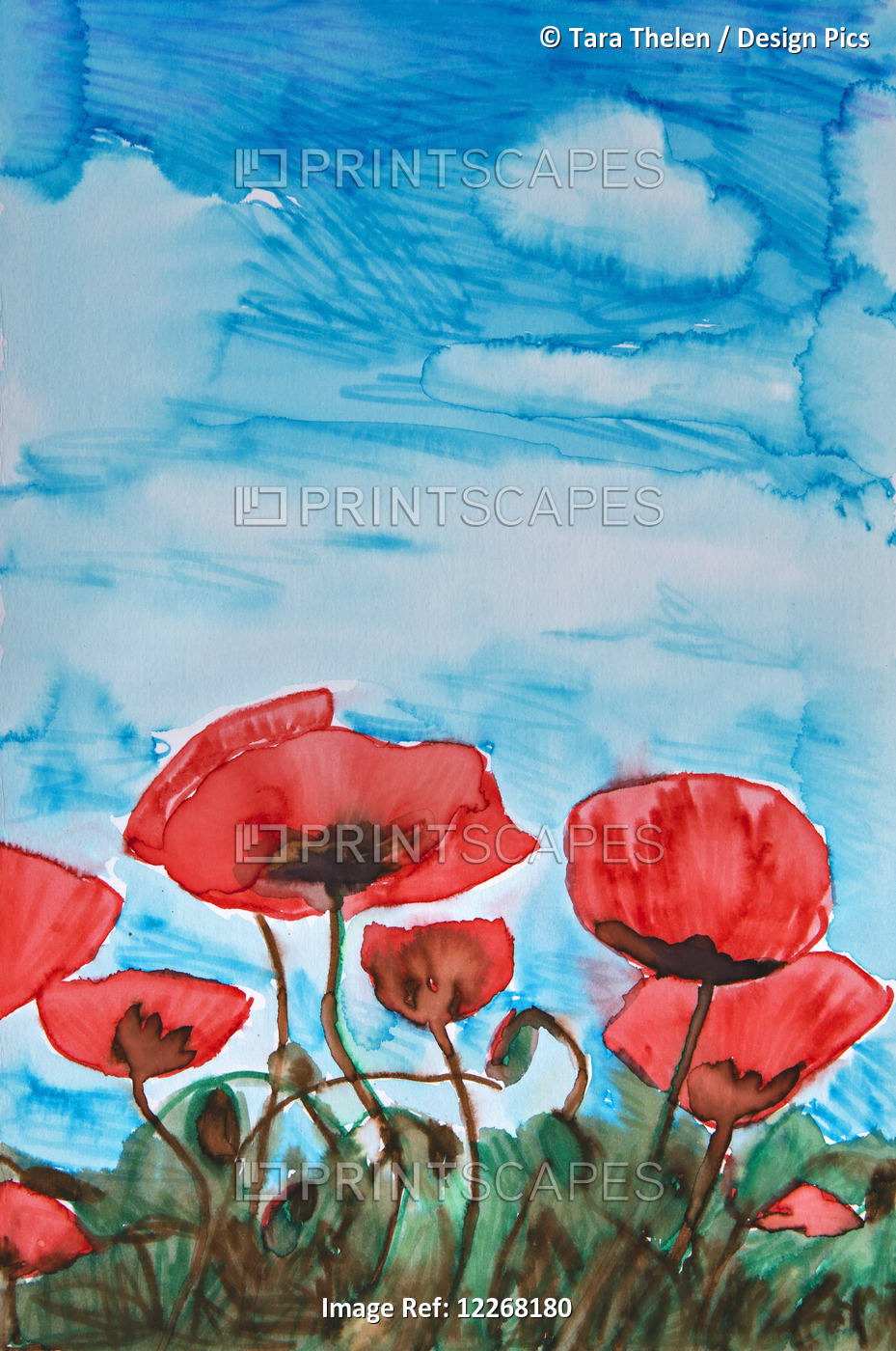 Painting Of Red Poppies And A Blue Sky