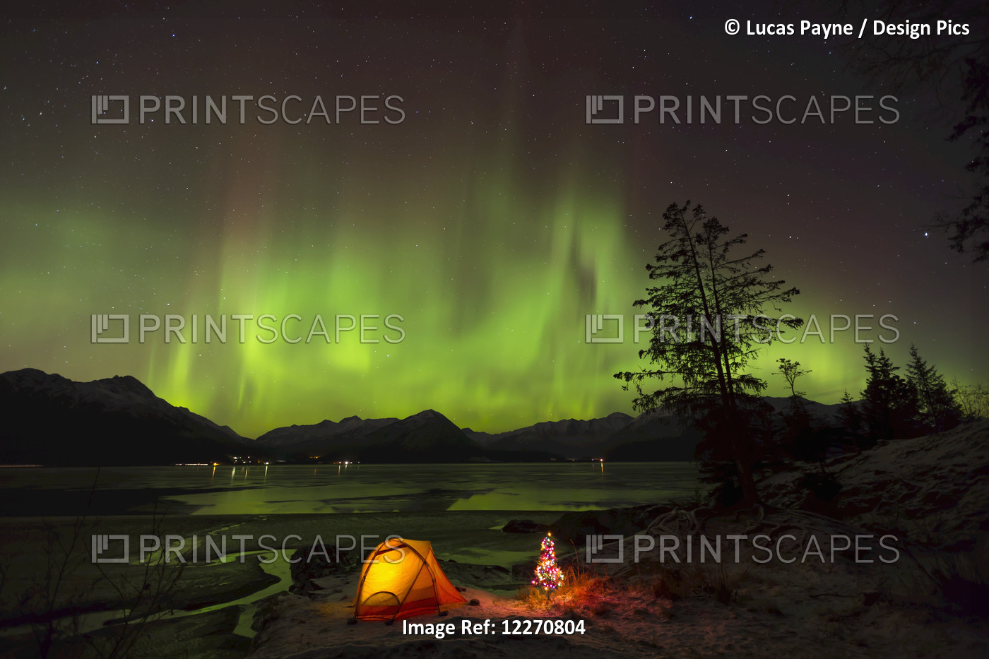 View Of The Aurora Borealis (Northern Lights) Dancing Above The Chugach ...