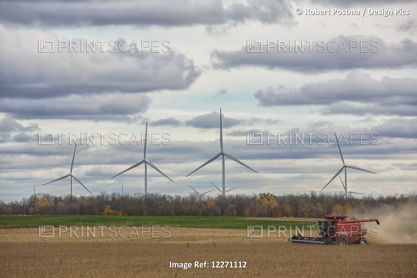 A Combine Harvests Soybeans While Wind Turbines Spin In The Distance; ...