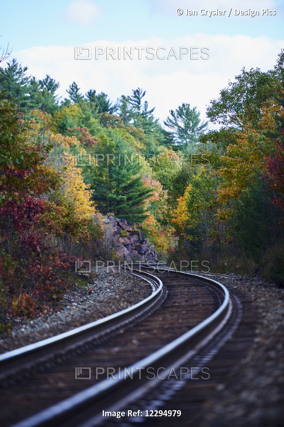 Railroad Tracks Through An Autumn Coloured Forest; Ontario, Canada