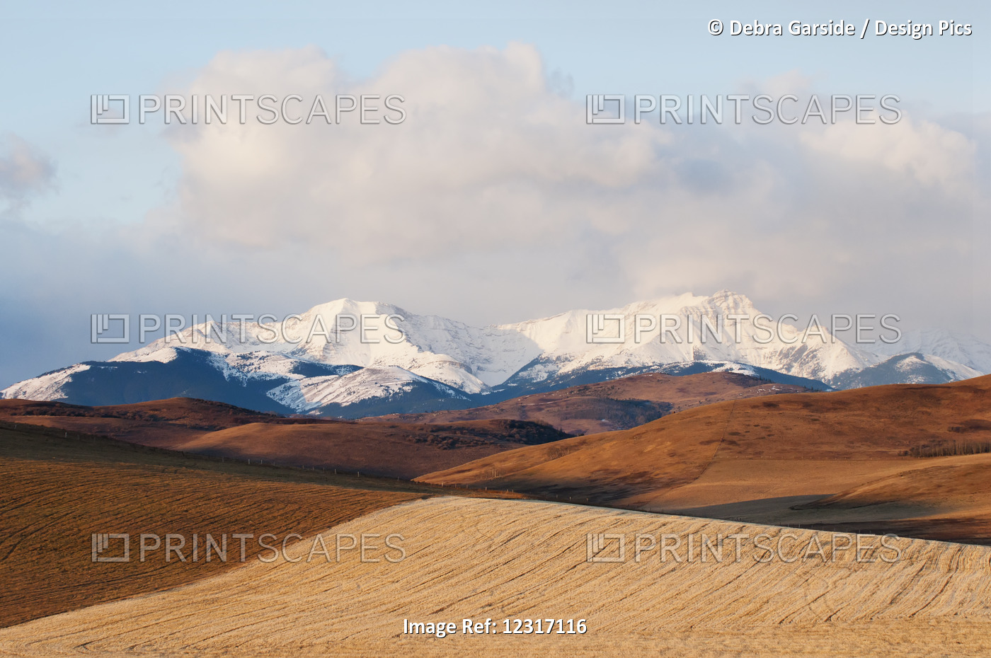 Alberta Landscape With Golden Fields In The Foothills And The Canadian Rockies ...