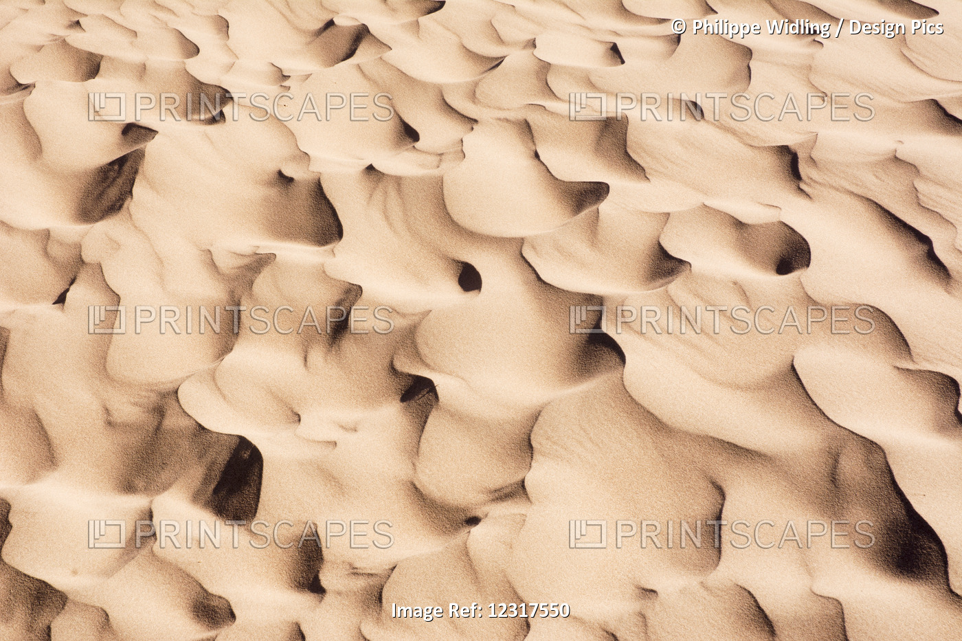 Close Up Of Sand Dune Pattern Looks Like Waves Of Sand; Mendoza, Argentina