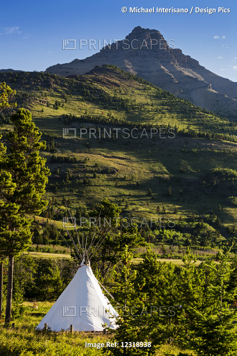 Large White Canvas Teepee In A Treed Field With Green Hillside And Mountain ...