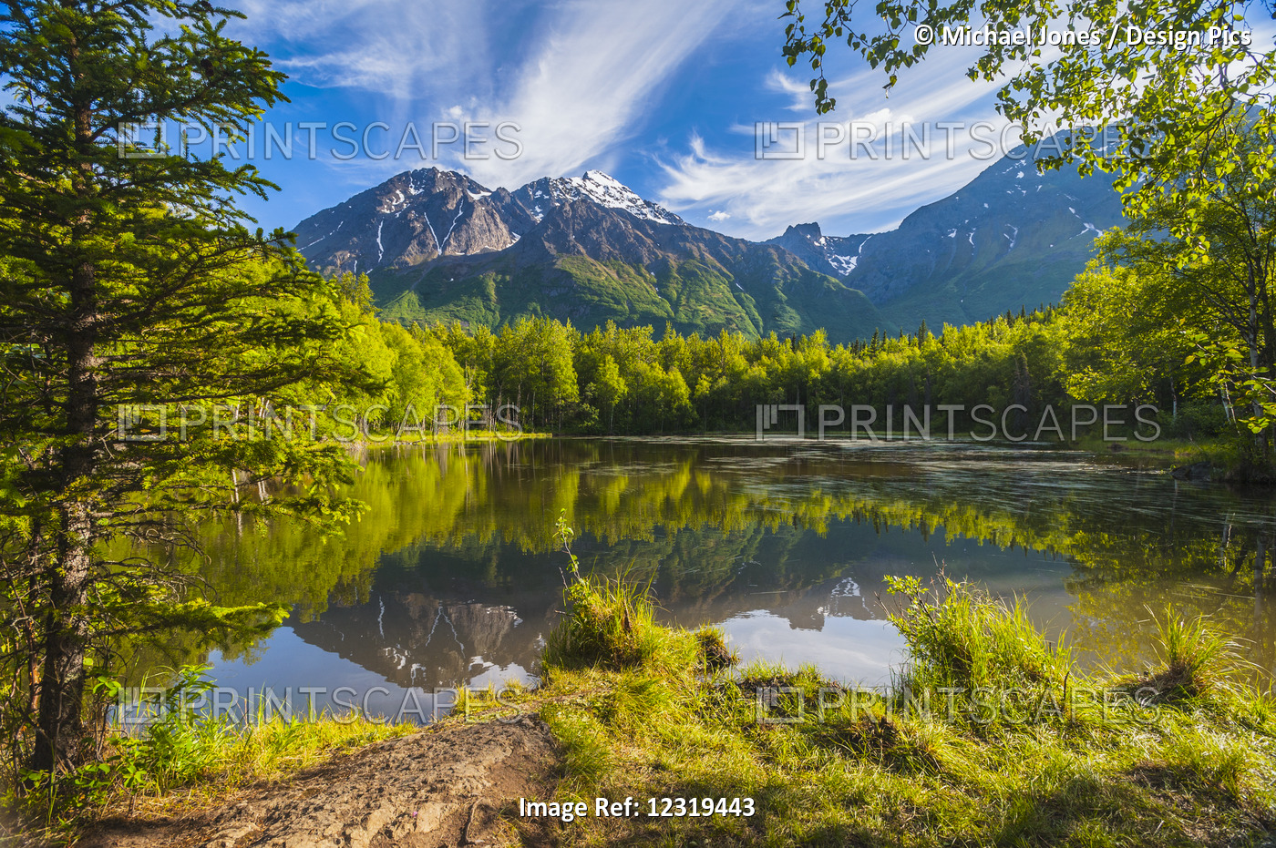 Dew Pond In The Chugach State Park In Eagle River On A Sunny Day, South-Central ...