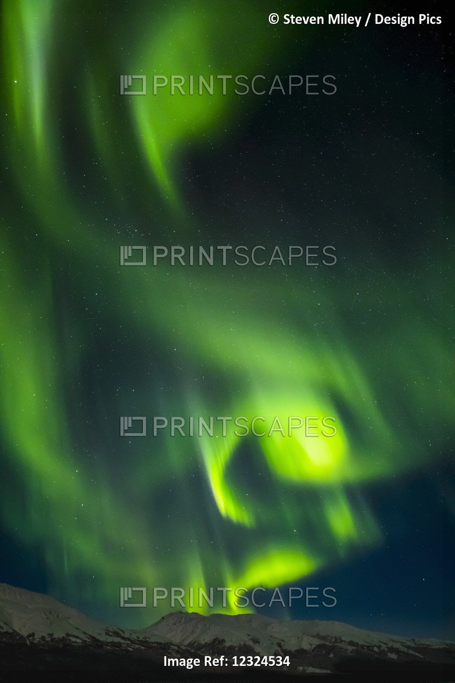 Aurora Borealis Over The Alaska Range, Near Black Rapids; Alaska, United States ...