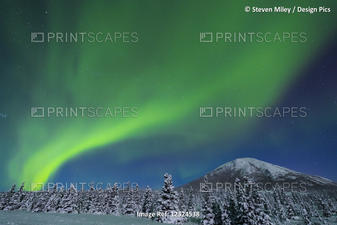 The Aurora Glows In The Sky Above Donnelly Dome And A Snowy, Moonlit Landscape, ...