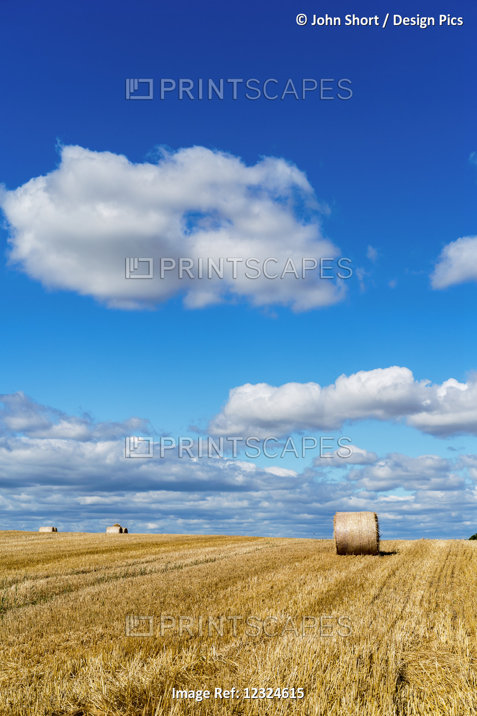 Hay Bales On A Cut Field Under A Blue Sky With Cloud; Ravensworth, North ...
