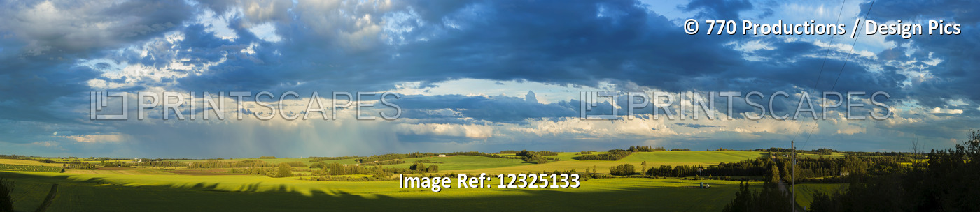 Clouds In A Blue Sky Cast Shadows On The Lush, Green Fields Below; Alberta, ...