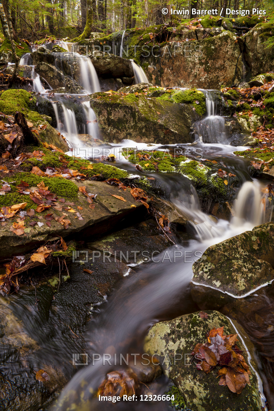 Waterfall And Brook In A Forest In Late Autumn; Bedford, Nova Scotia, Canada