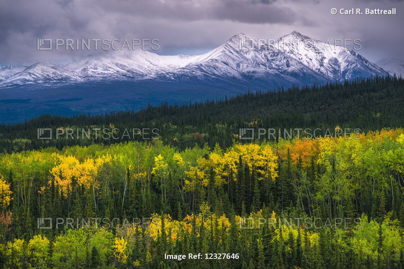 Scenic View Of An Early Snowfall On Alaska Range Foothills With Autumn Foliage ...
