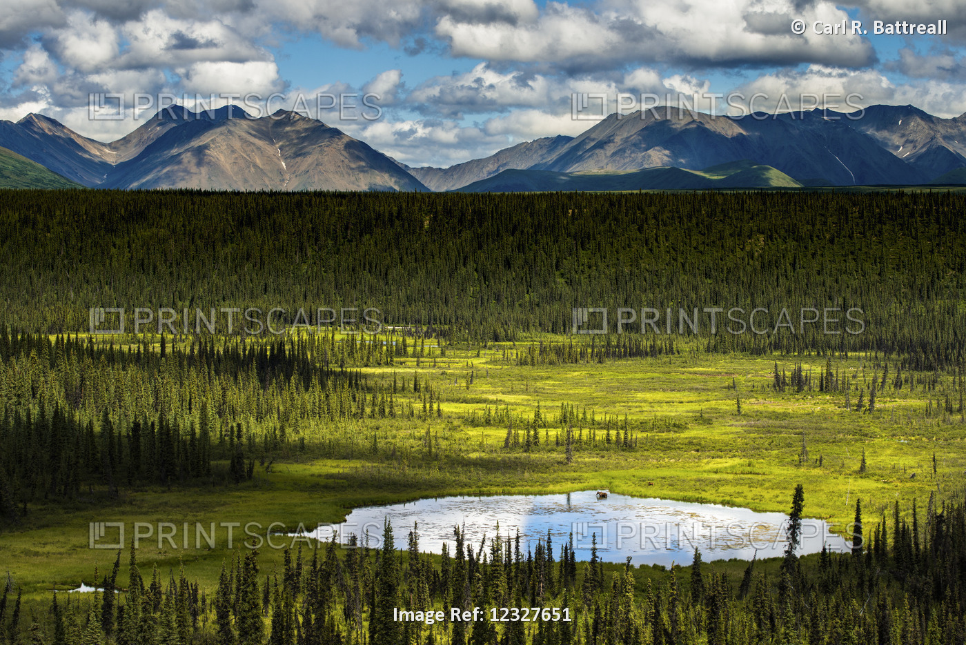 Scenic View Of Mountains With Vibrant Green Tundra And A Kettle Pond In The ...
