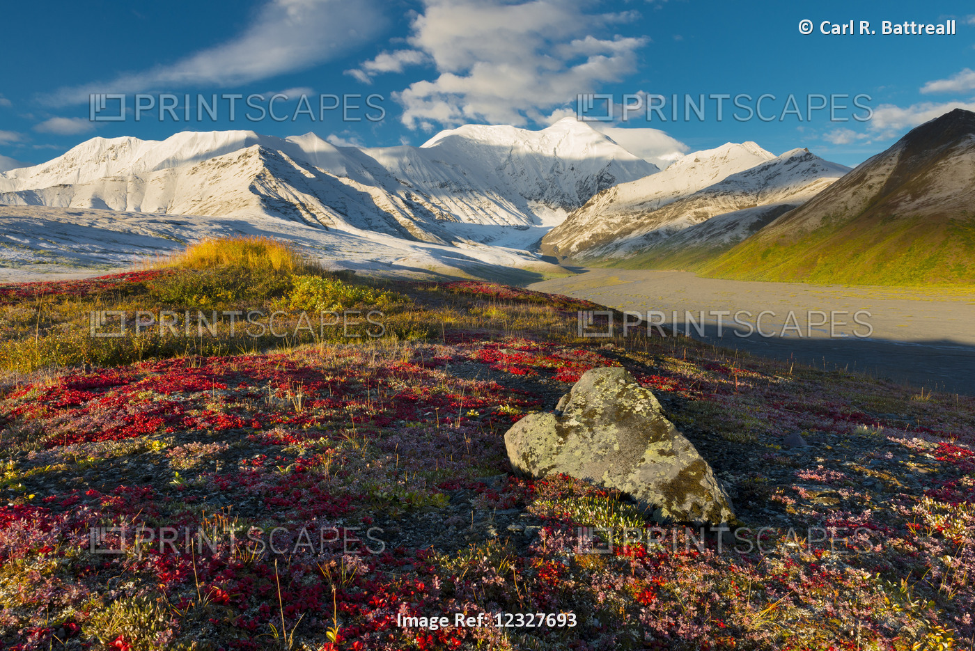 Scenic Autumn View Of The Snow Capped Alaska Range With Colorful Tundra In The ...