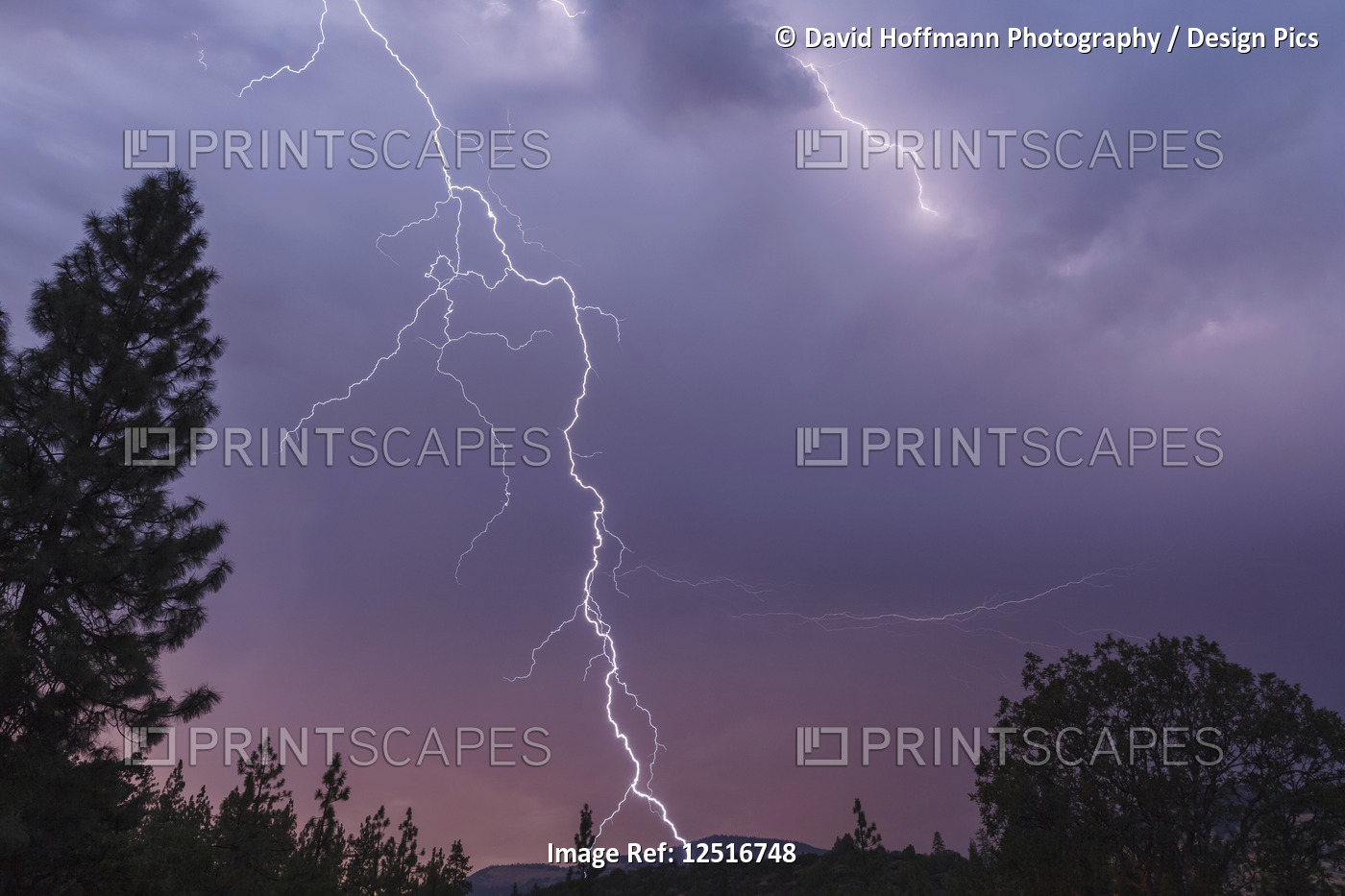 Lightning bolt strikes in this spectacular late evening image, Cascade Siskiyou ...