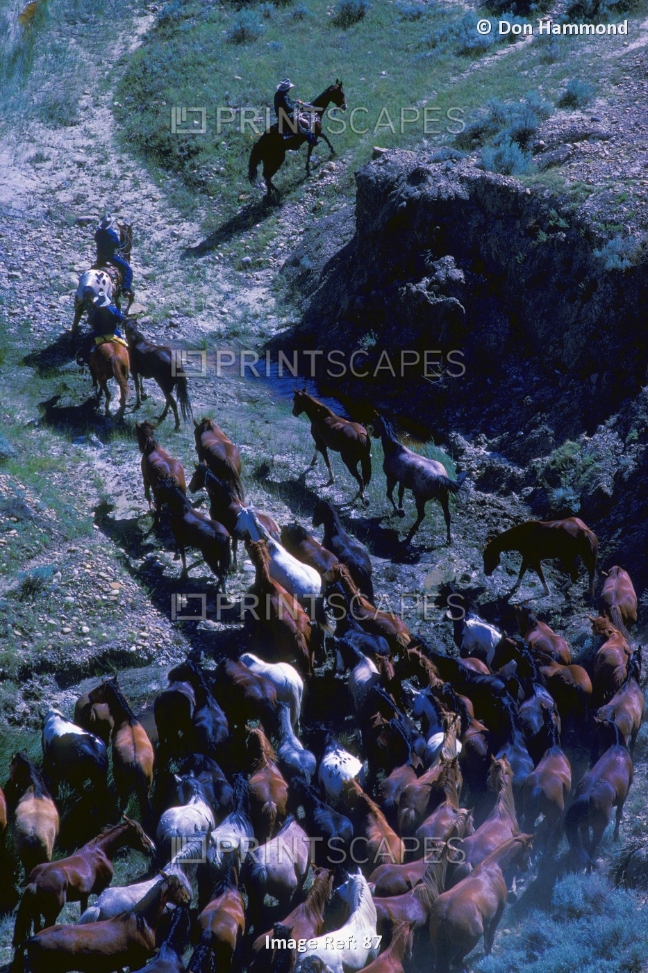 Cowboys Herding Horses Through Rocky Terrain