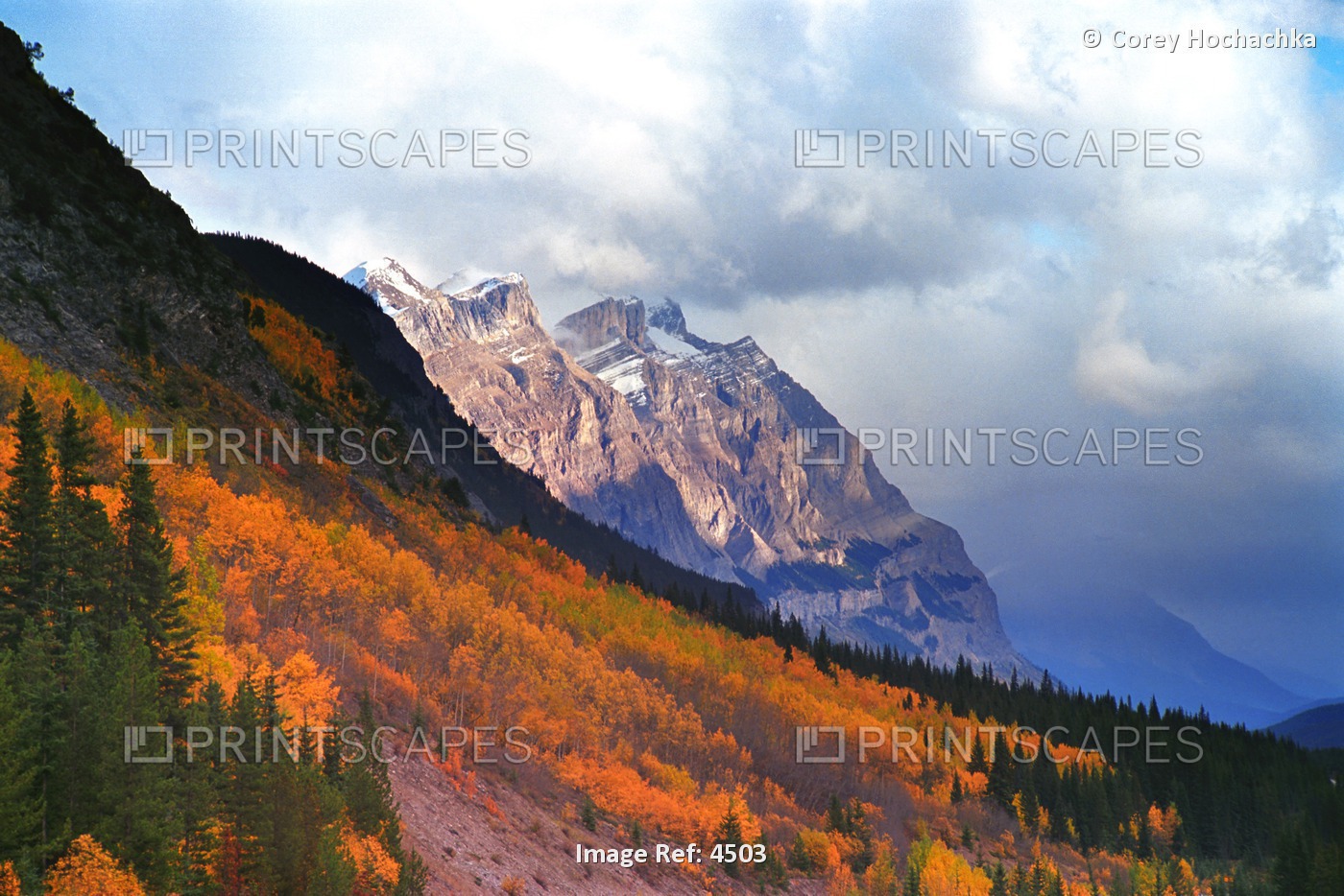 Mountain Slope In Fall