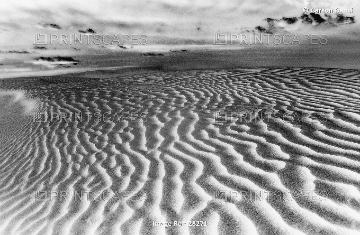 Great Sand Hills At Sunrise Saskatchewan Canada
