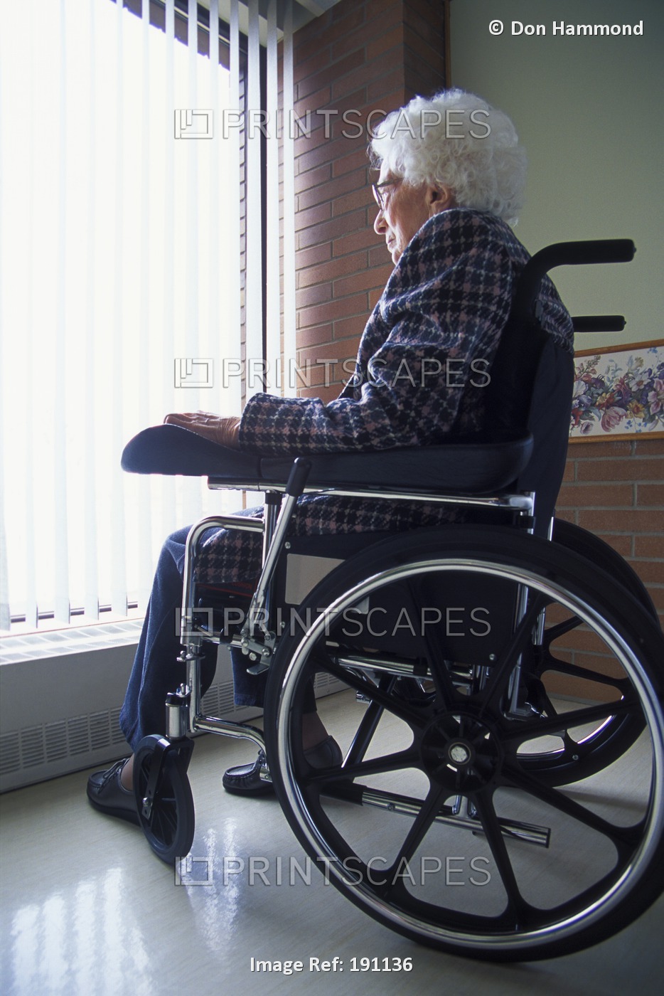 Senior Woman In Wheelchair Looking Out Window