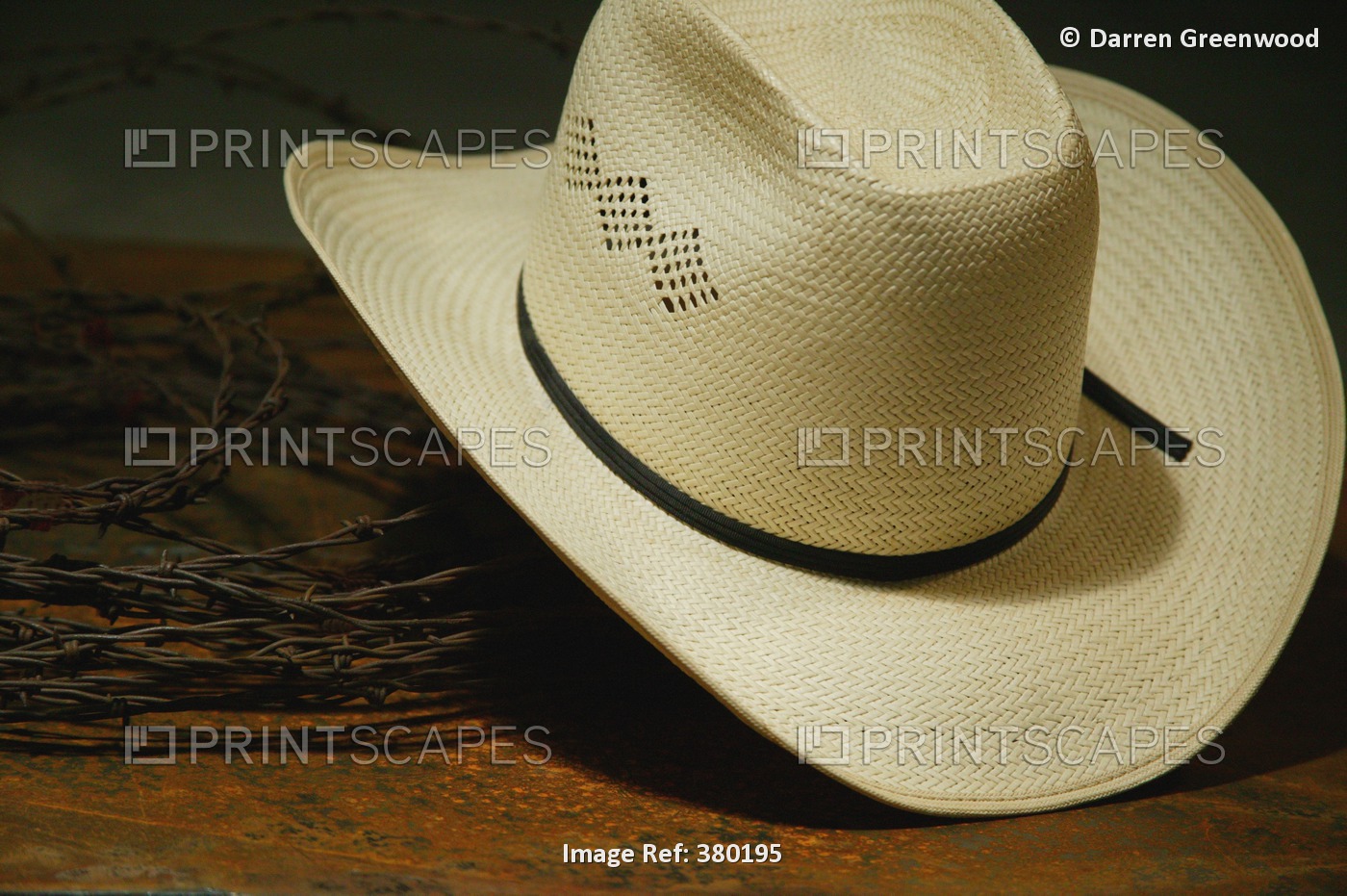 Cowboy Hat And Barbed Wire Still Life