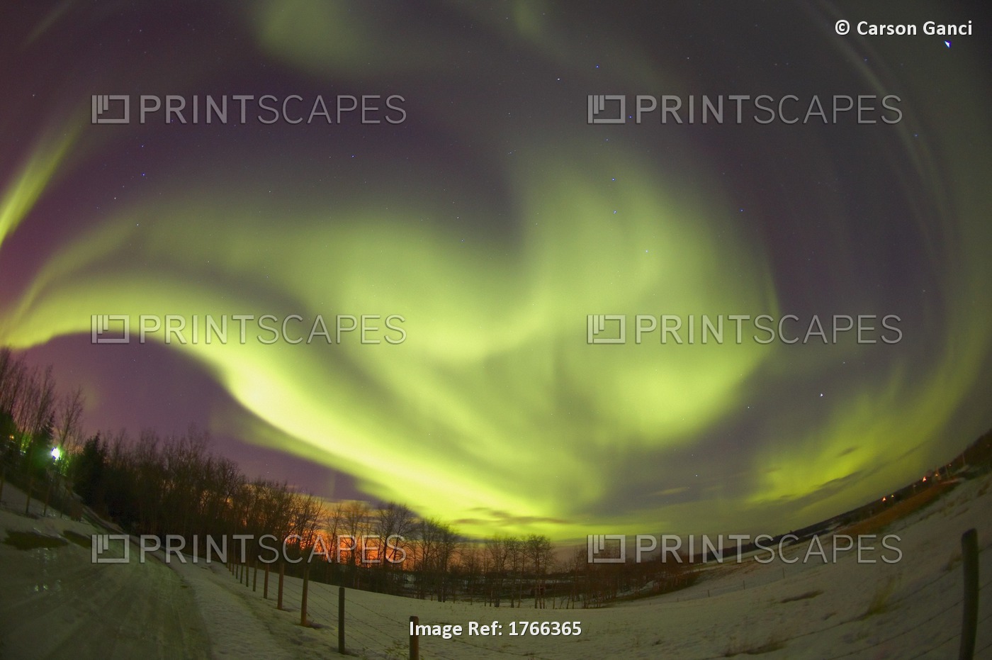 Northern Lights, Edmonton, Alberta, Canada