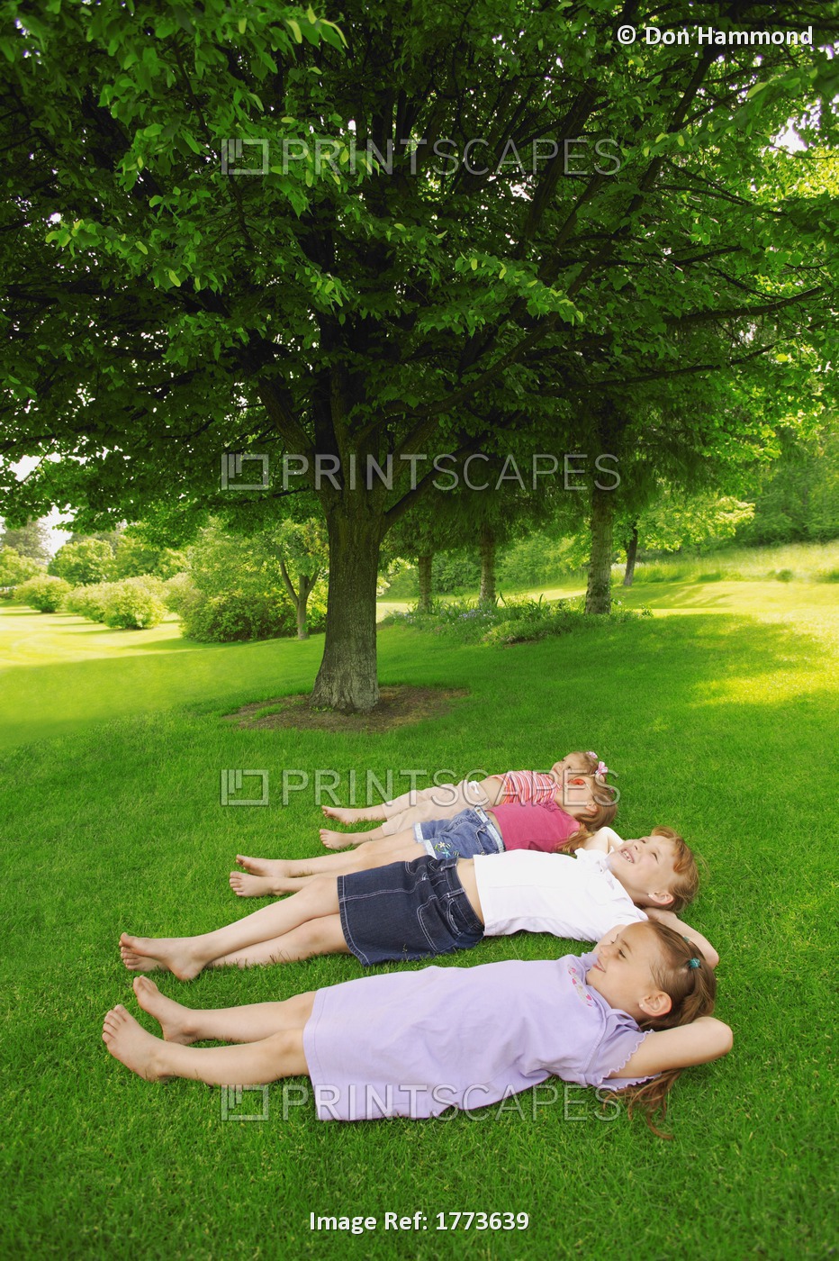 Children Lying On Grass