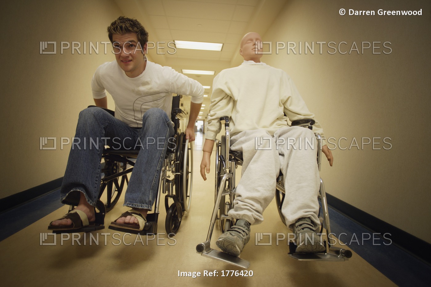 Man And Dummy In Wheelchairs, Racing In Hallway