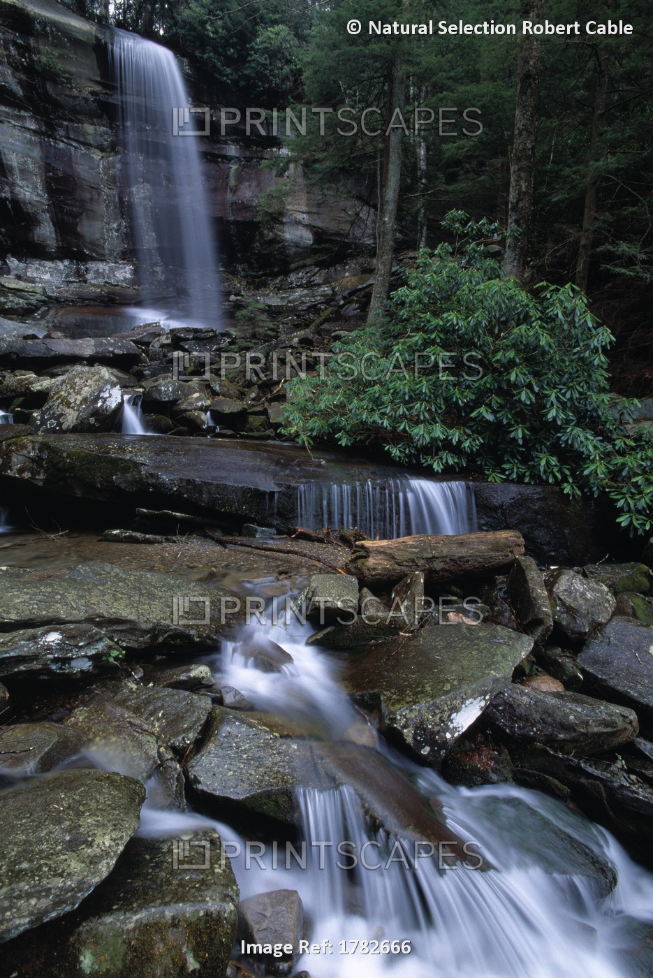 Scenic Waterfall