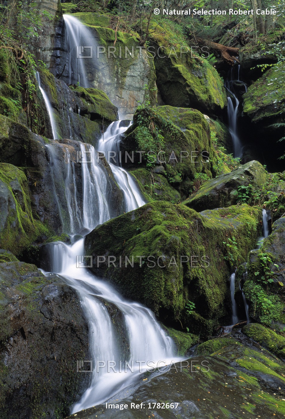 Thousand Drips Waterfall, Roaring Fork Area, Great Smoky Mountains National ...