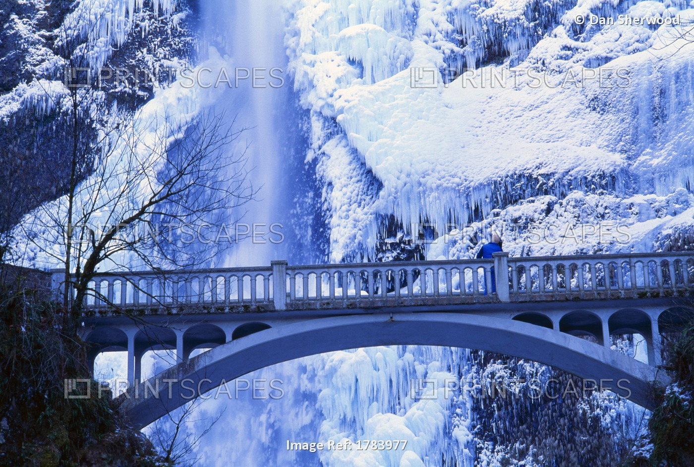 Bridge And Multnomah Falls In Winter, Columbia River Gorge, Oregon, Usa
