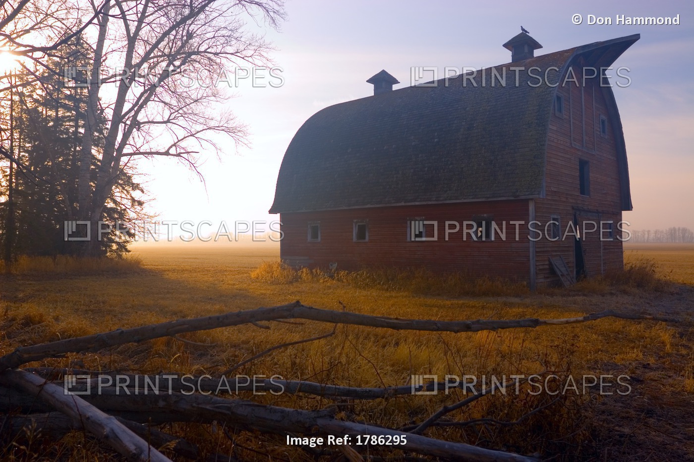 A Barn Sits In Morning Mist