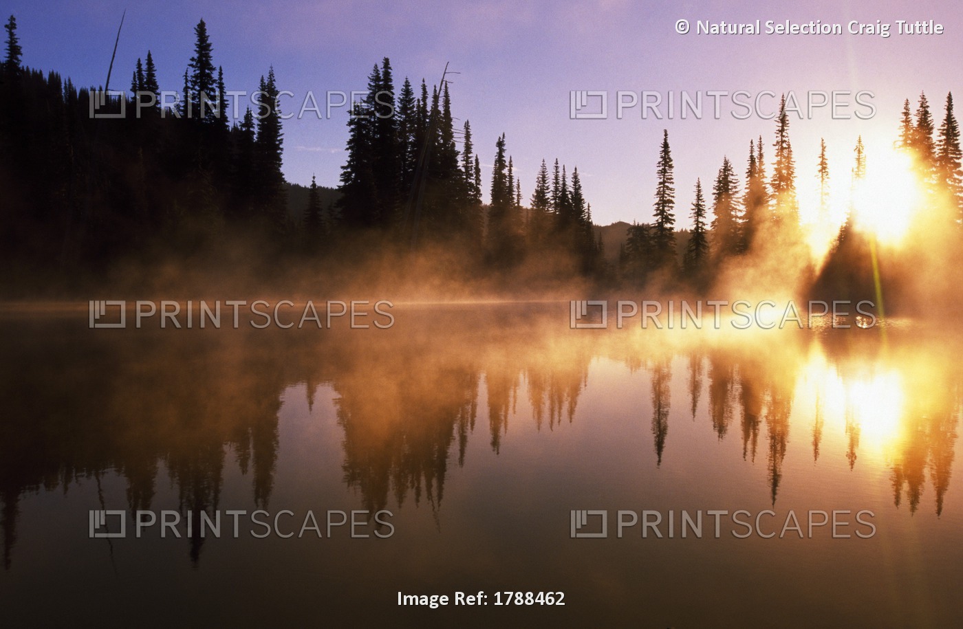Sunbeams Through Mist On Lake