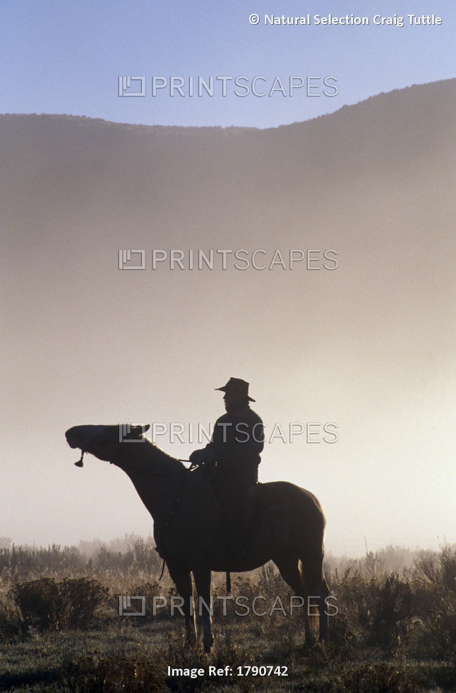 Silhouetted Cowboy On Horseback In Fog