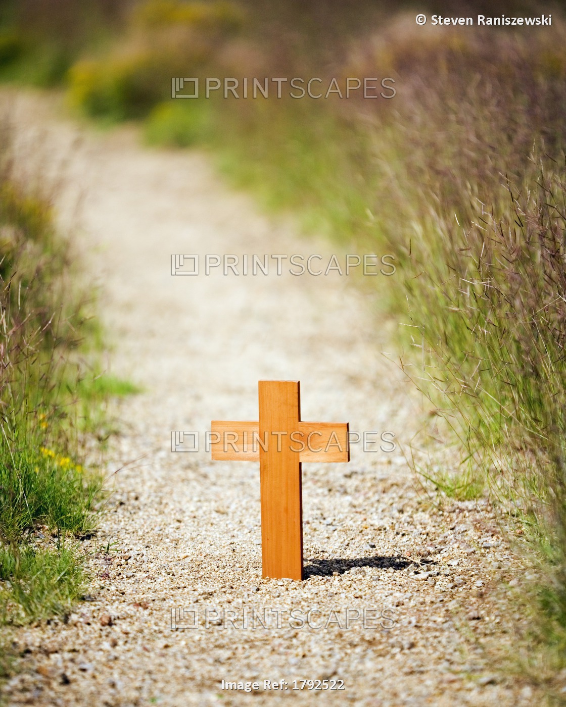 Path With A Wooden Cross