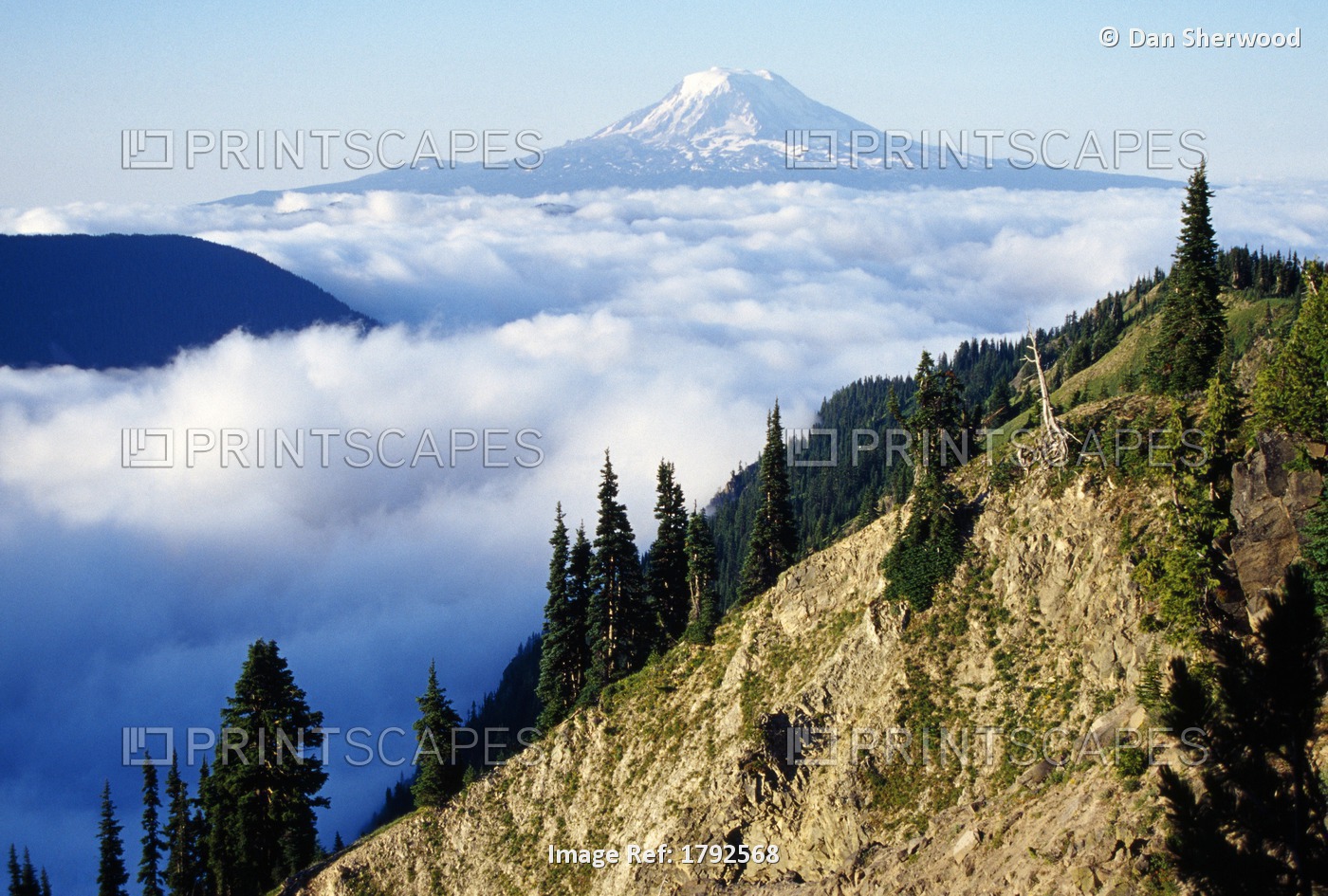 Mount Adams Above Cloud-Filled Valley, Washington, United States Of America