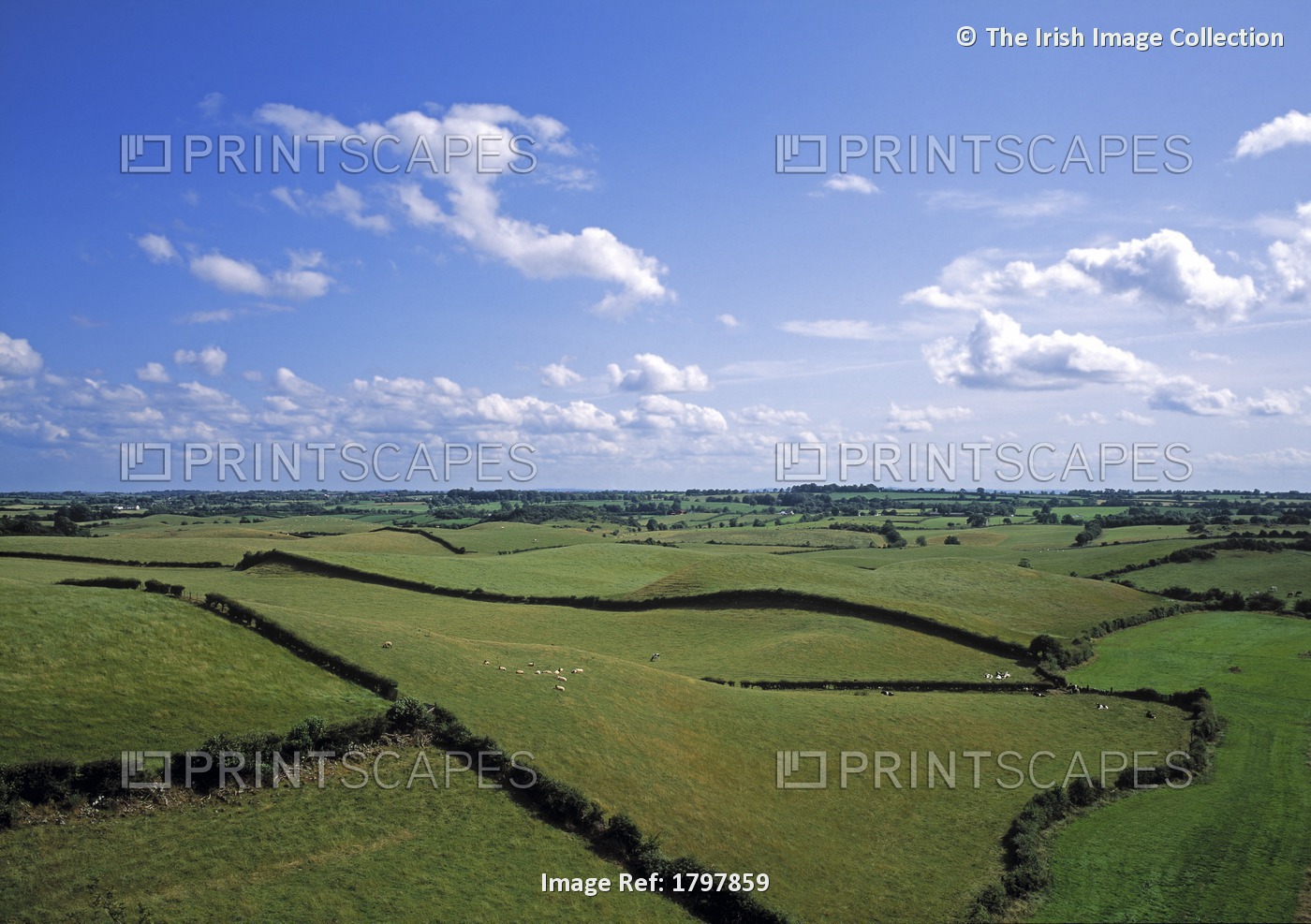 Castle Roche, Co Louth, Ireland; Drumlins Near Dundalk
