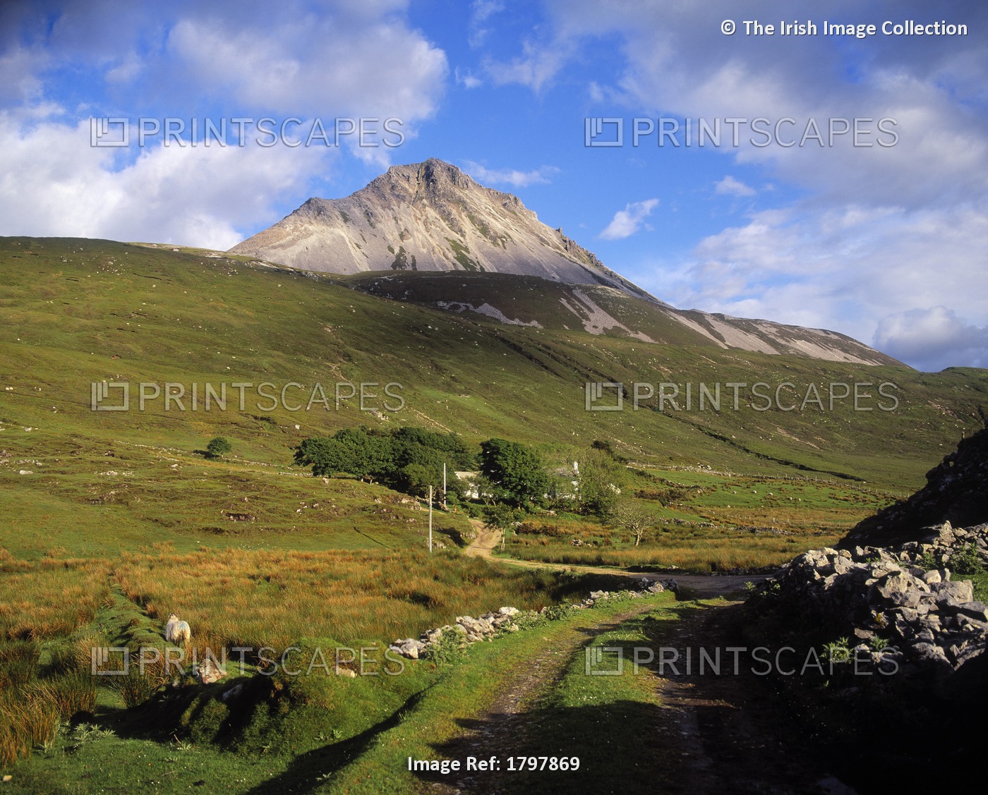 Mount Errigal, Near Gweedore, Co Donegal, Ireland