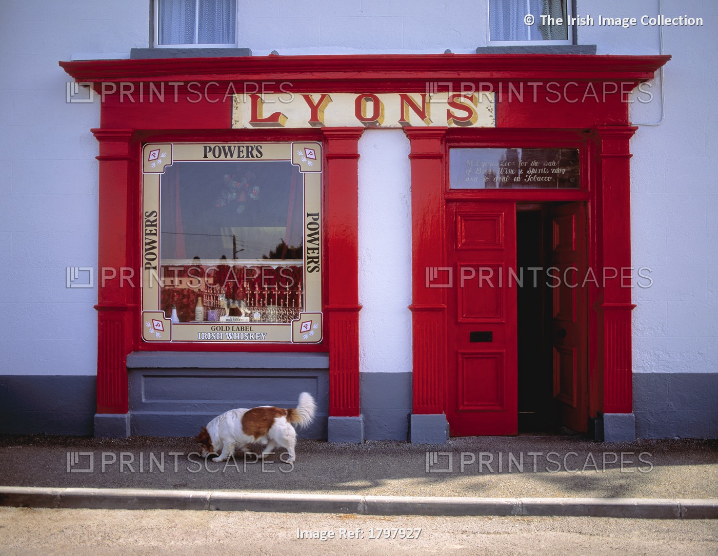 Dog In Front Of A Shop, Ardagh, County Longford, Ireland