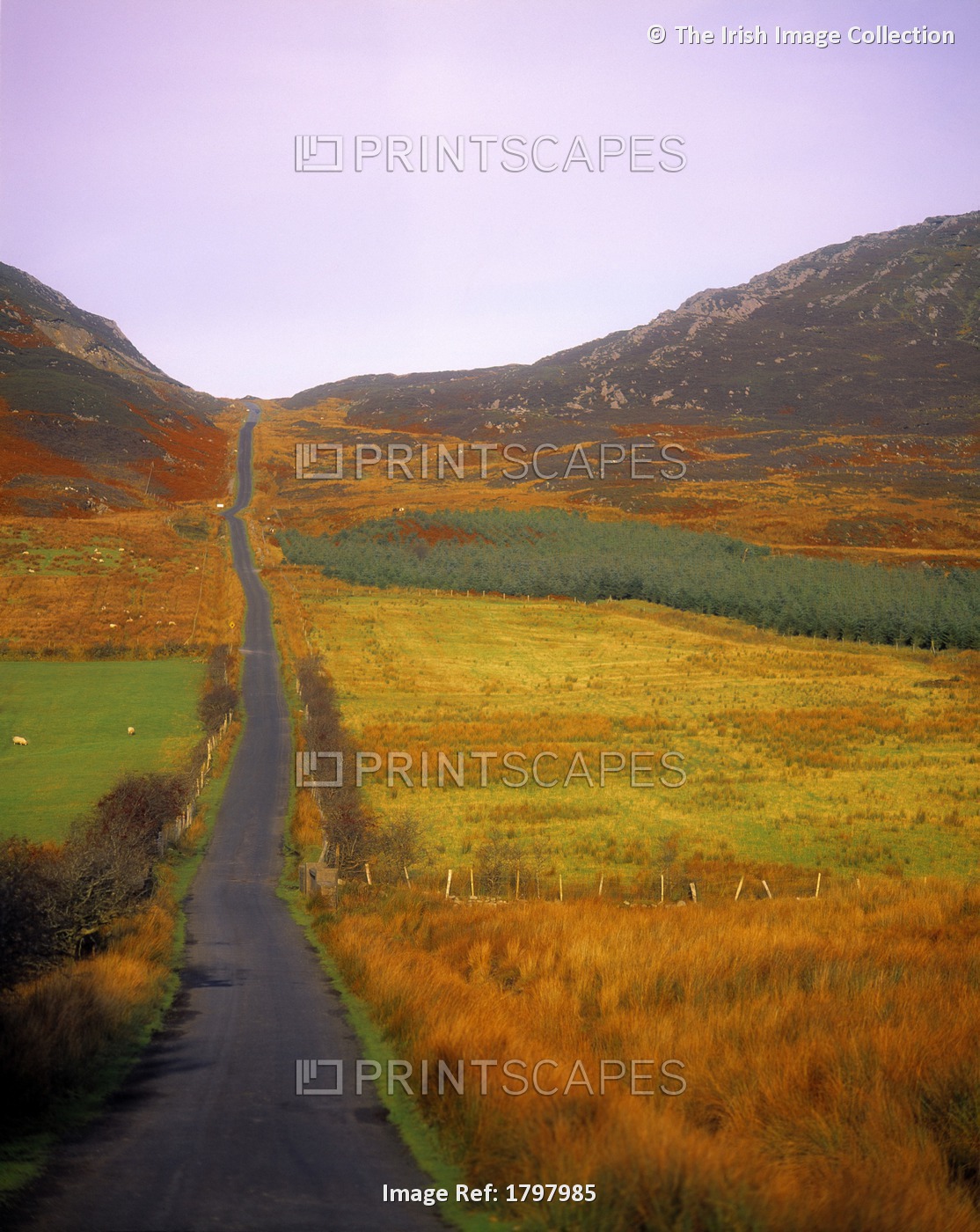 Gap Of Mamore, Inishowen, Co Donegal, Ireland